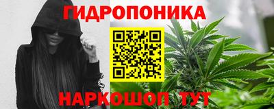 трава Свободный