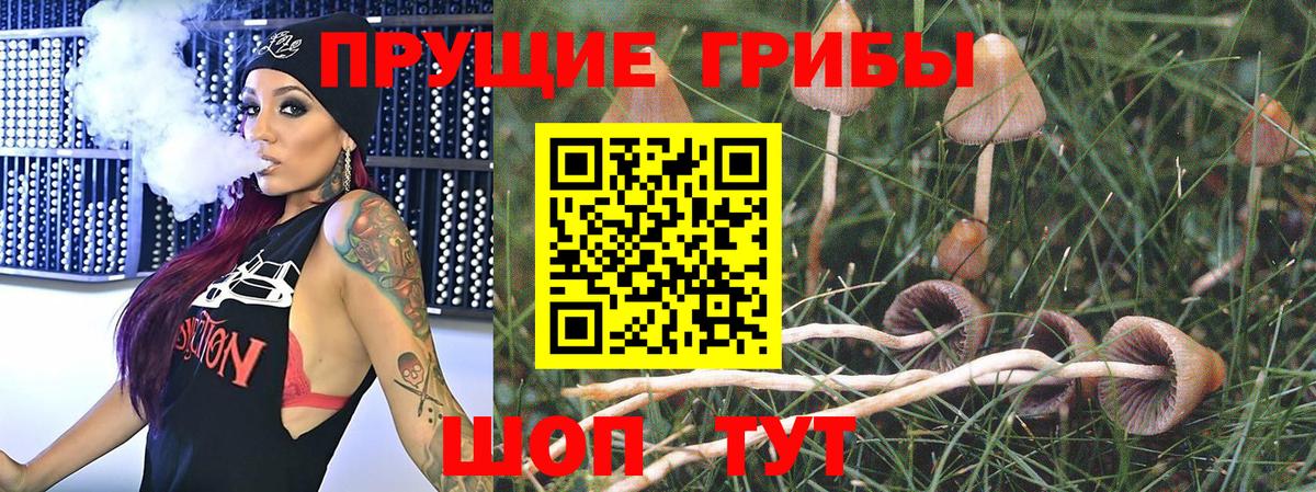Псилоцибиновые грибы мицелий  Вход с VPN  купить  сайты  Галлюциногенные грибы Cubensis  Саров 